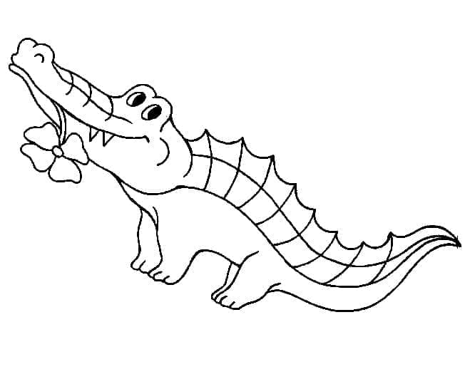 Aligator imprimabil