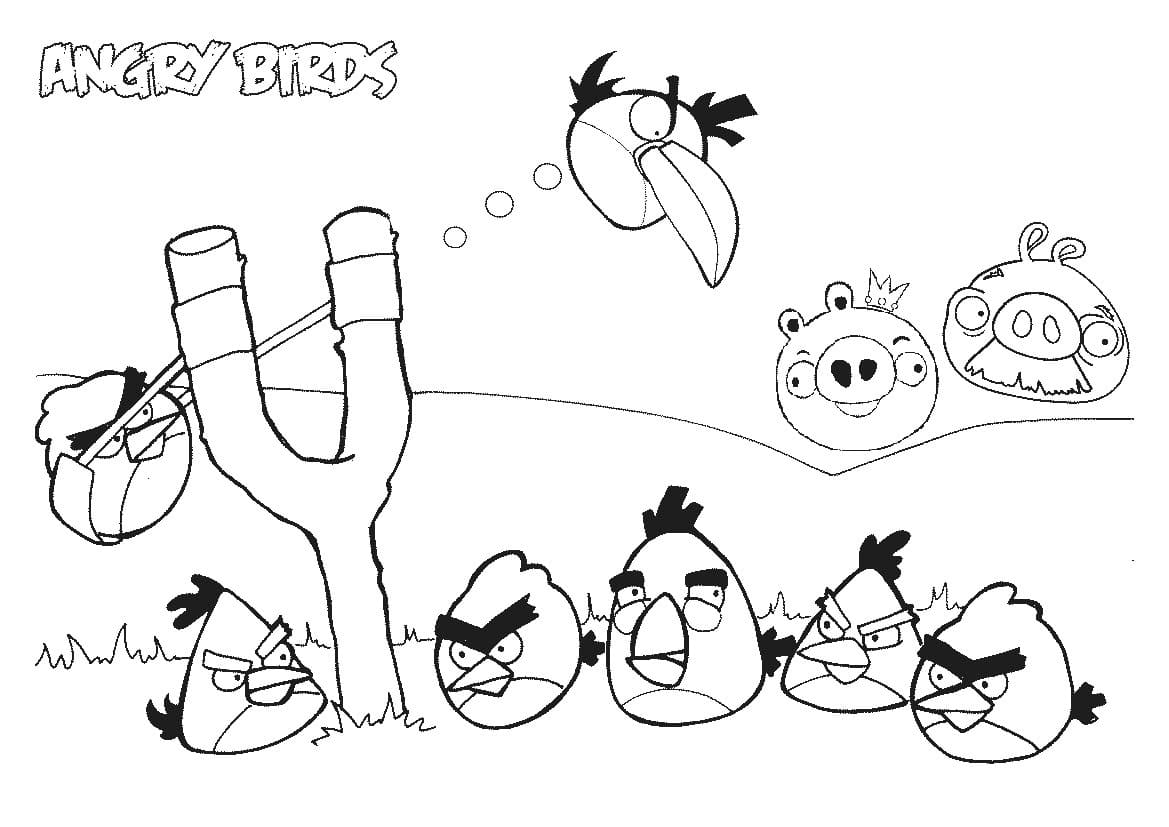 Angry birds p1