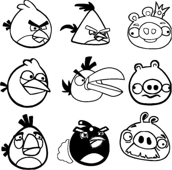 Angry birds p11