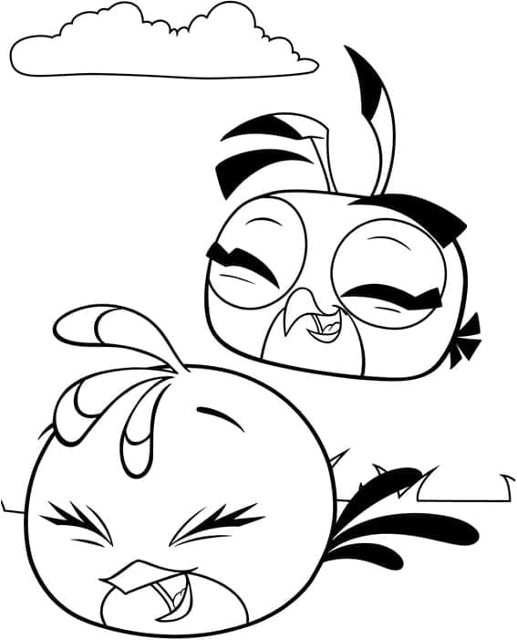 Angry birds p14