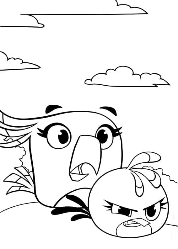 Angry birds p21