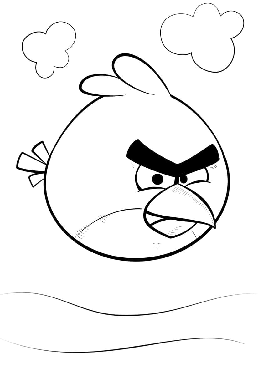 Angry birds p22