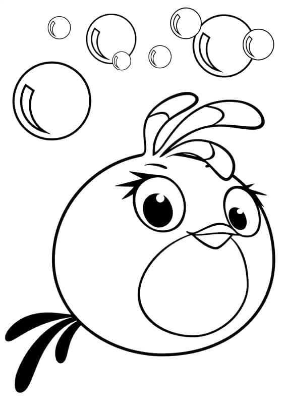 Angry birds p28