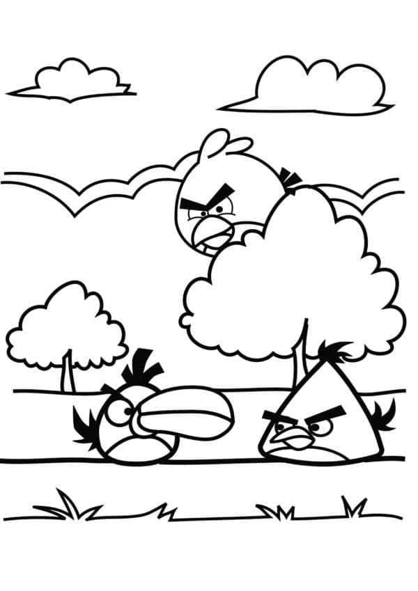 Angry birds p3