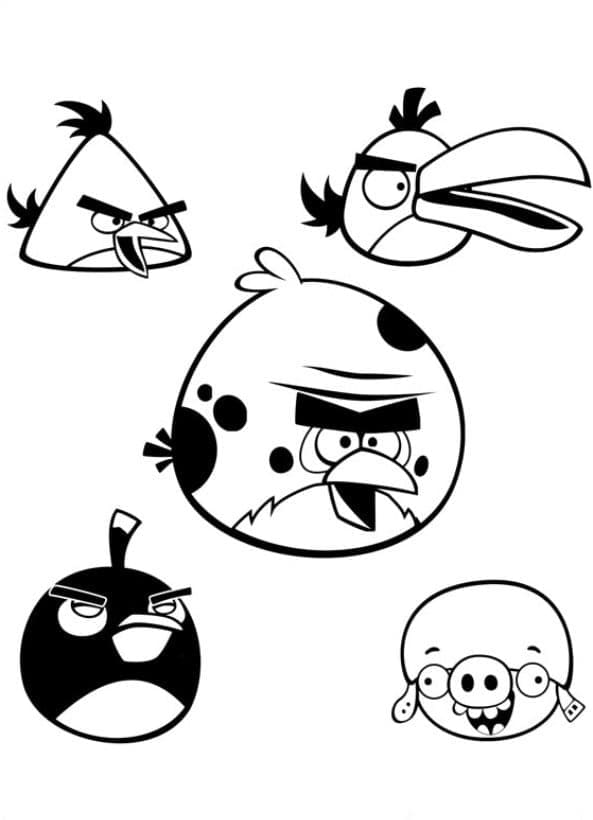 Angry birds p4