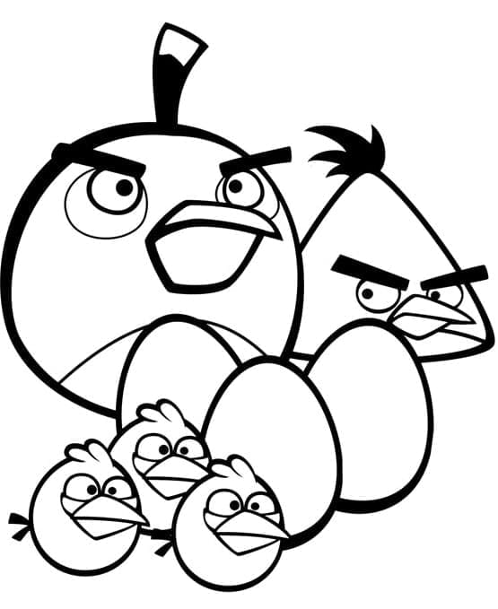 Angry birds p42