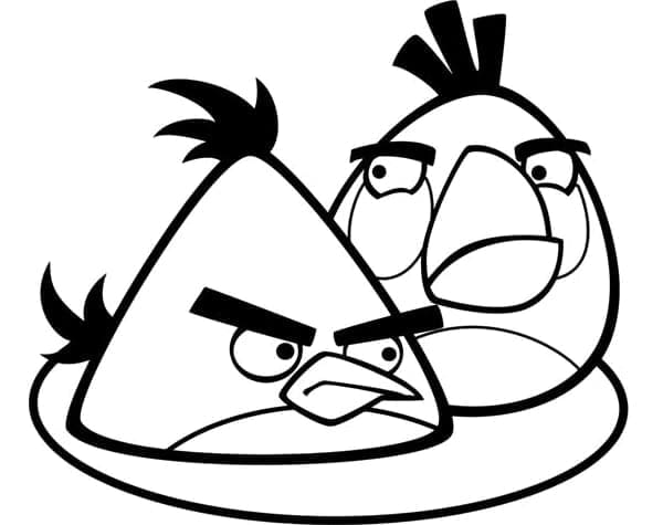 Angry birds p43