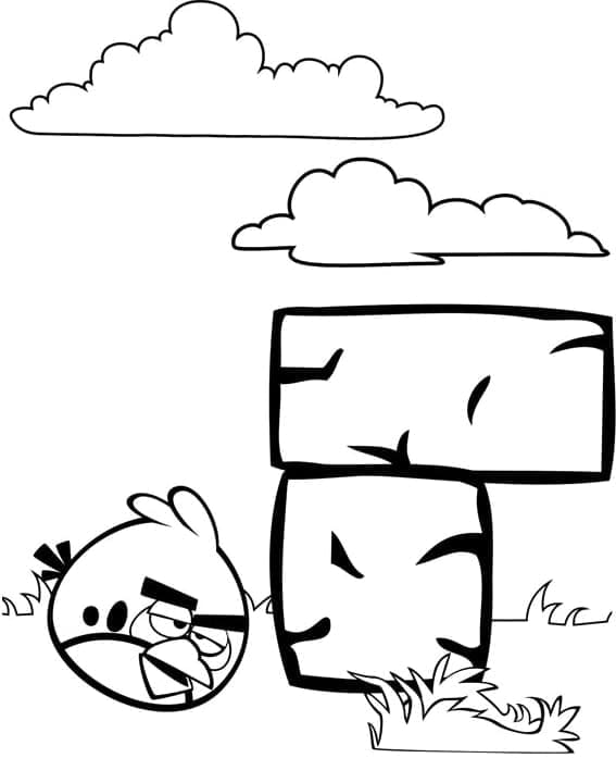 Angry birds p51