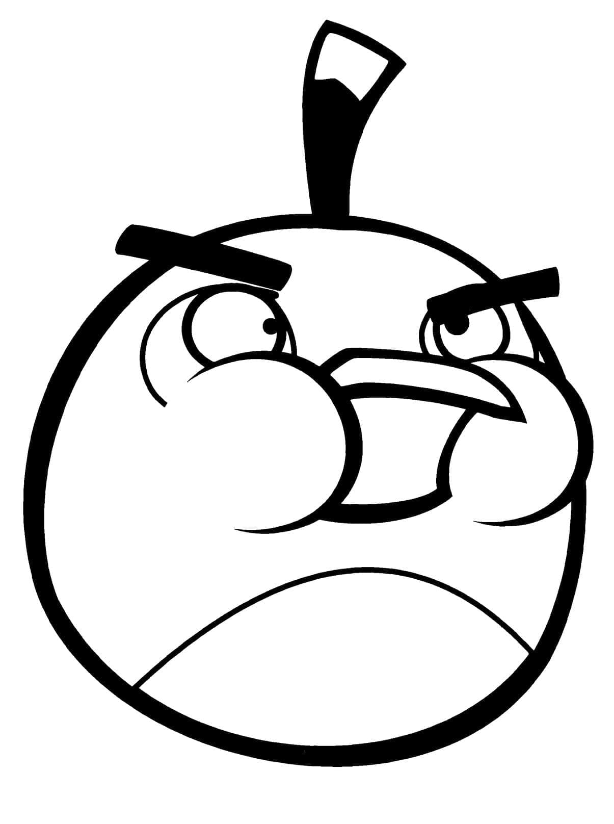 Angry birds p55