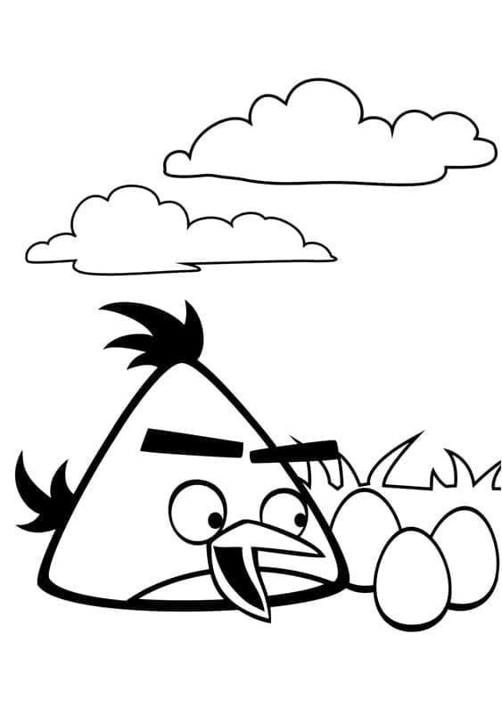 Angry birds p56