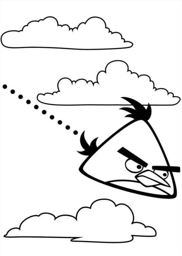 Angry birds p8