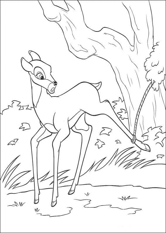 Bambi de colorat p06
