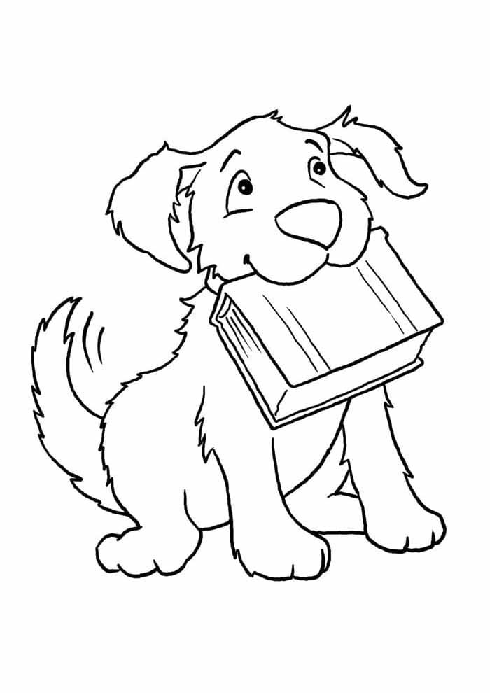 Câine cu carte