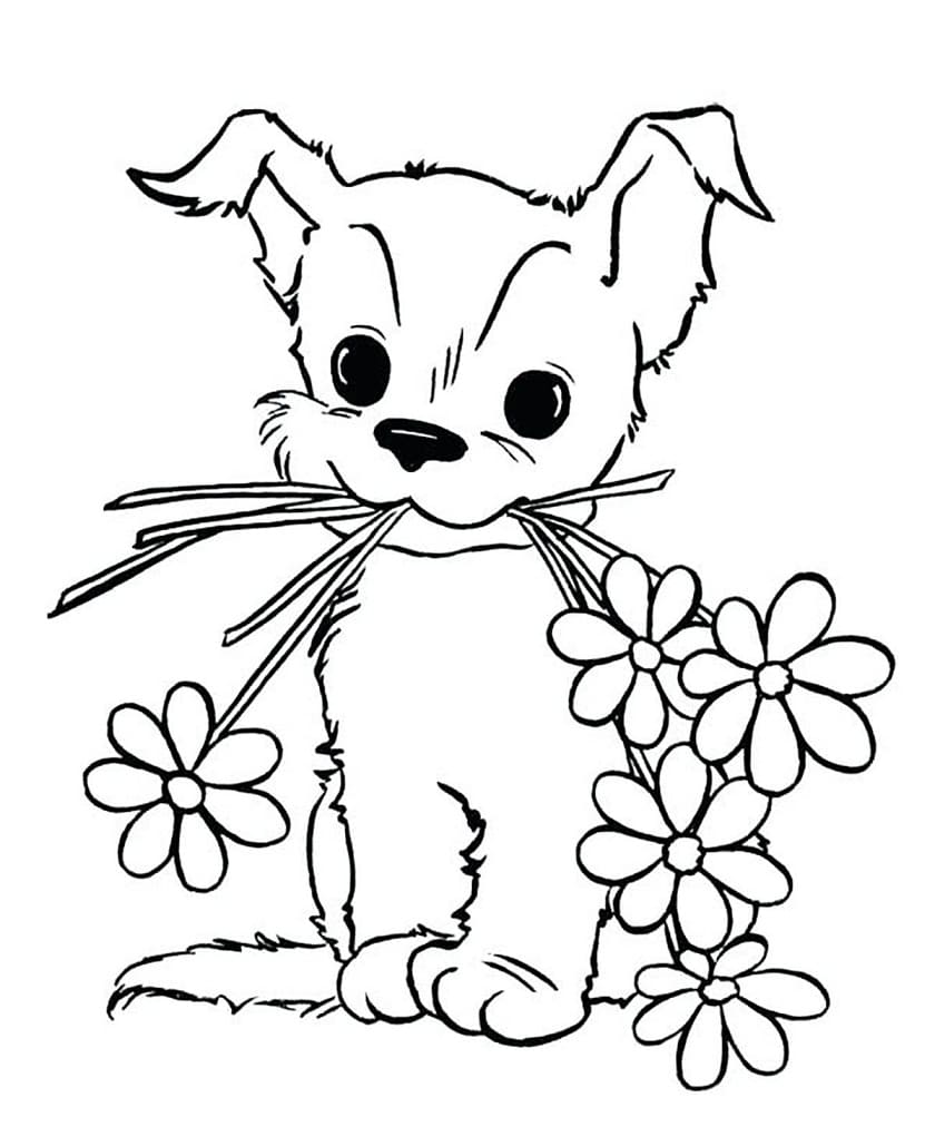 Câine mic cu flori