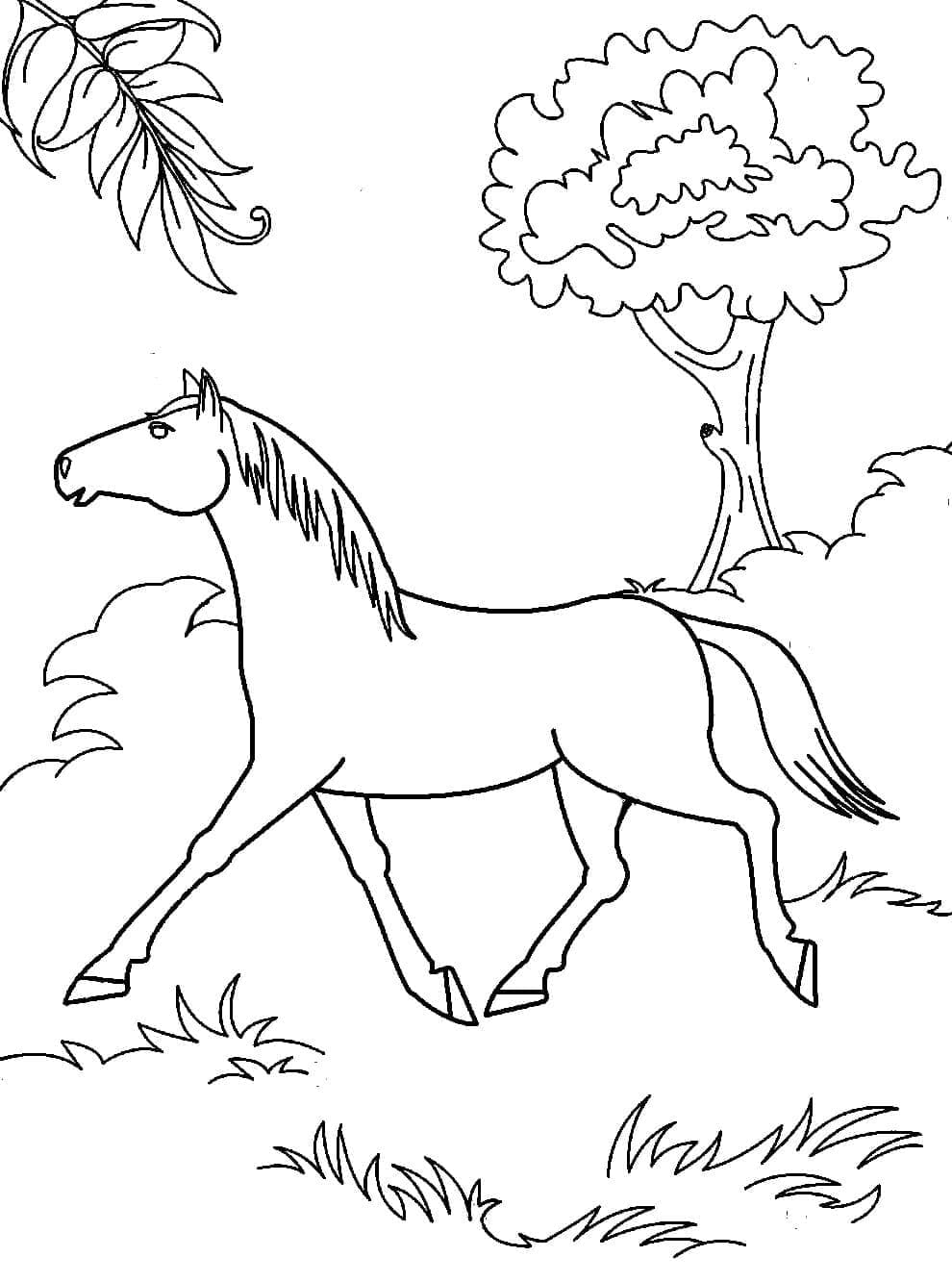 Cal în pădure