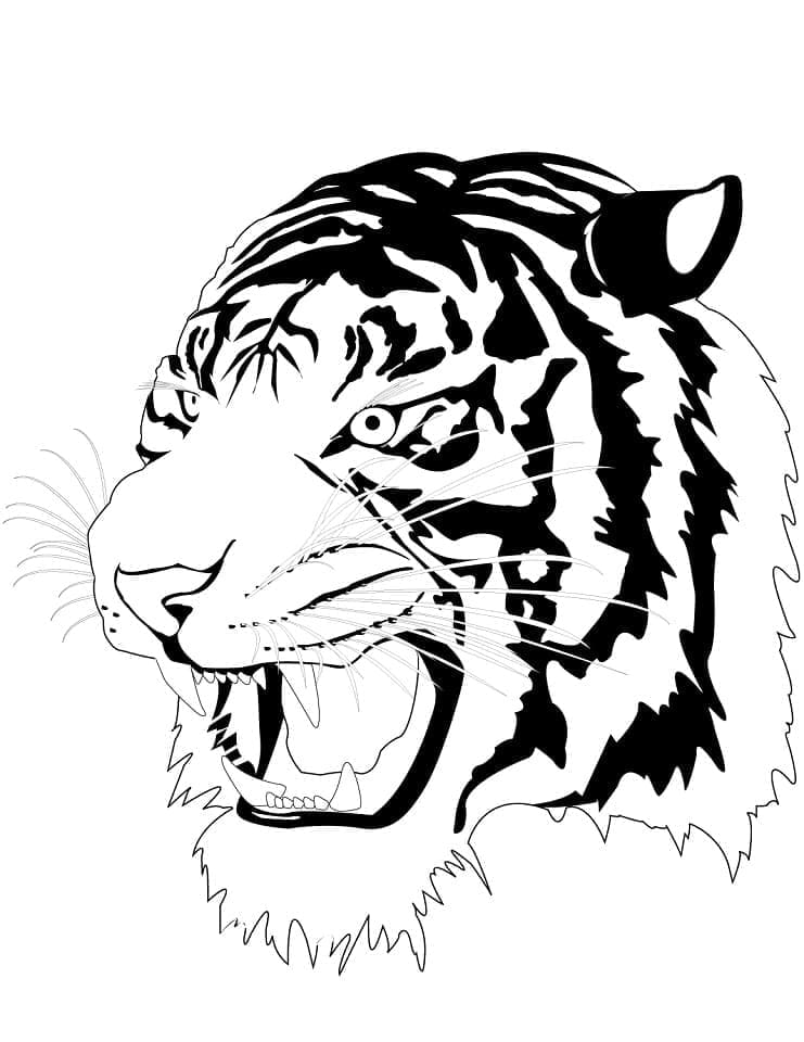 Cap de tigru