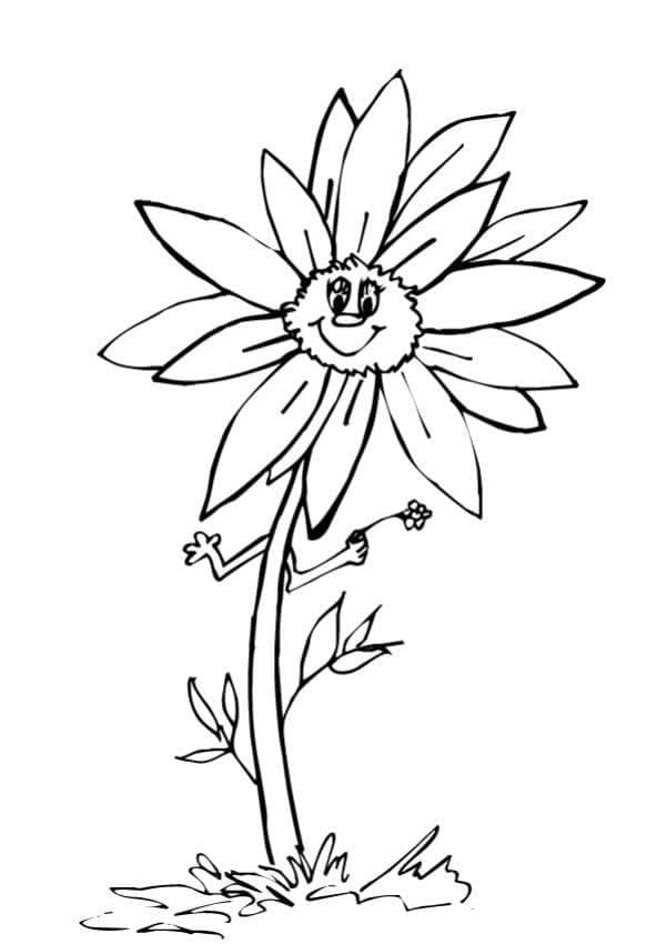 Desen animat floarea soarelui