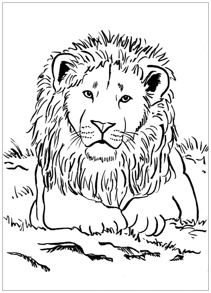 Desen de leu