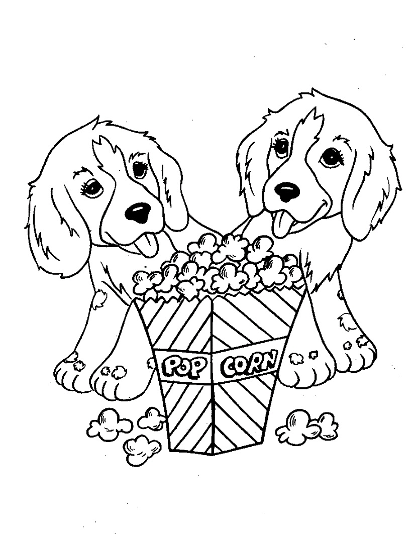 Doi câini drăguți cu floricele de porumb