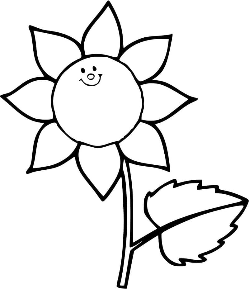 Drăguță floarea soarelui