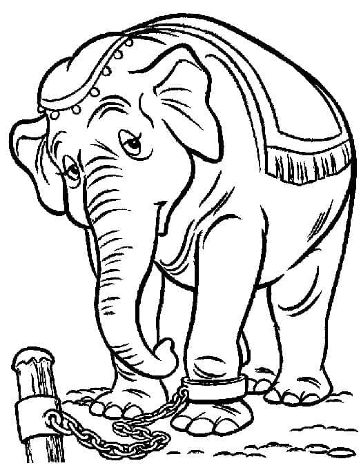 Dumbo de colorat p38