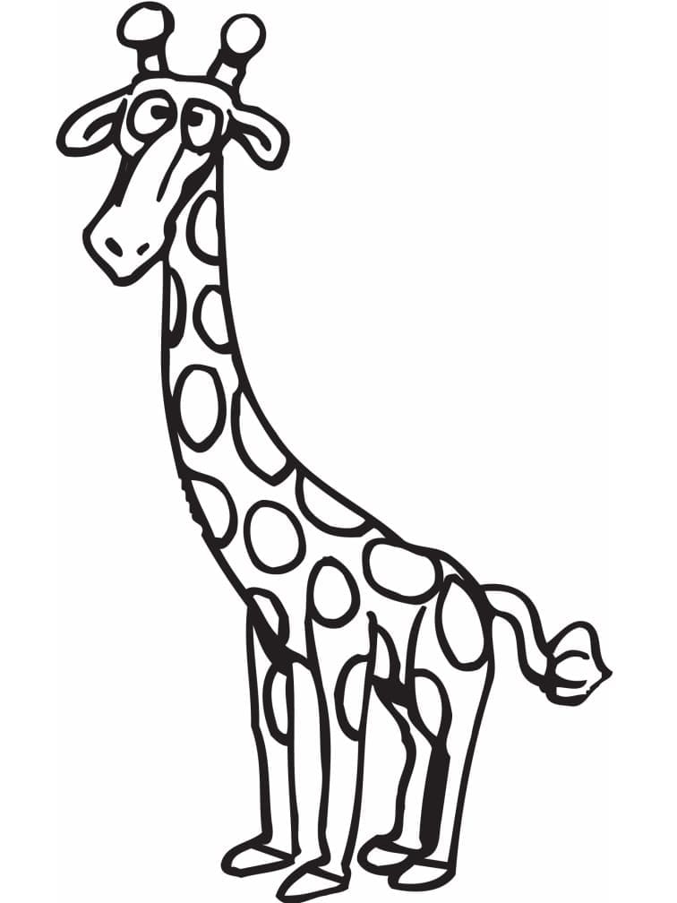 Girafă amuzantă