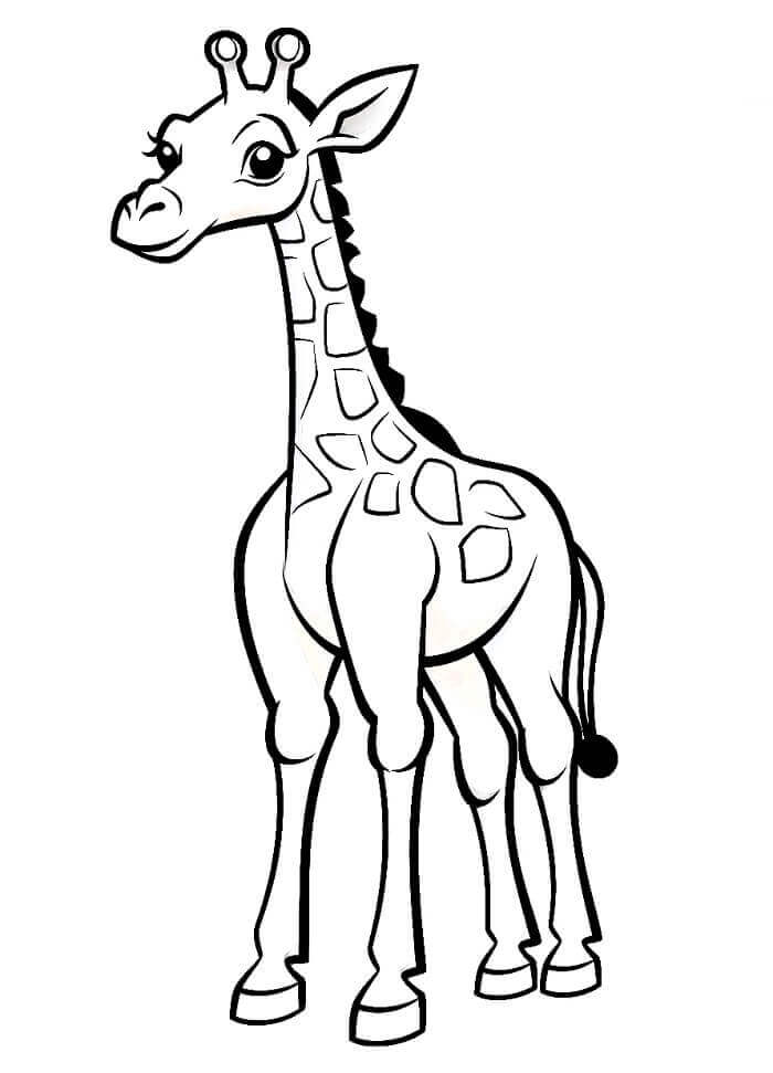 Fise de colorat cu Girafă de colorat p01
