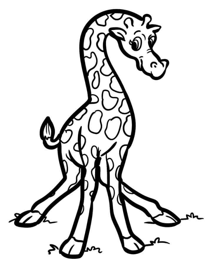 Fise de colorat cu Girafă de colorat p03