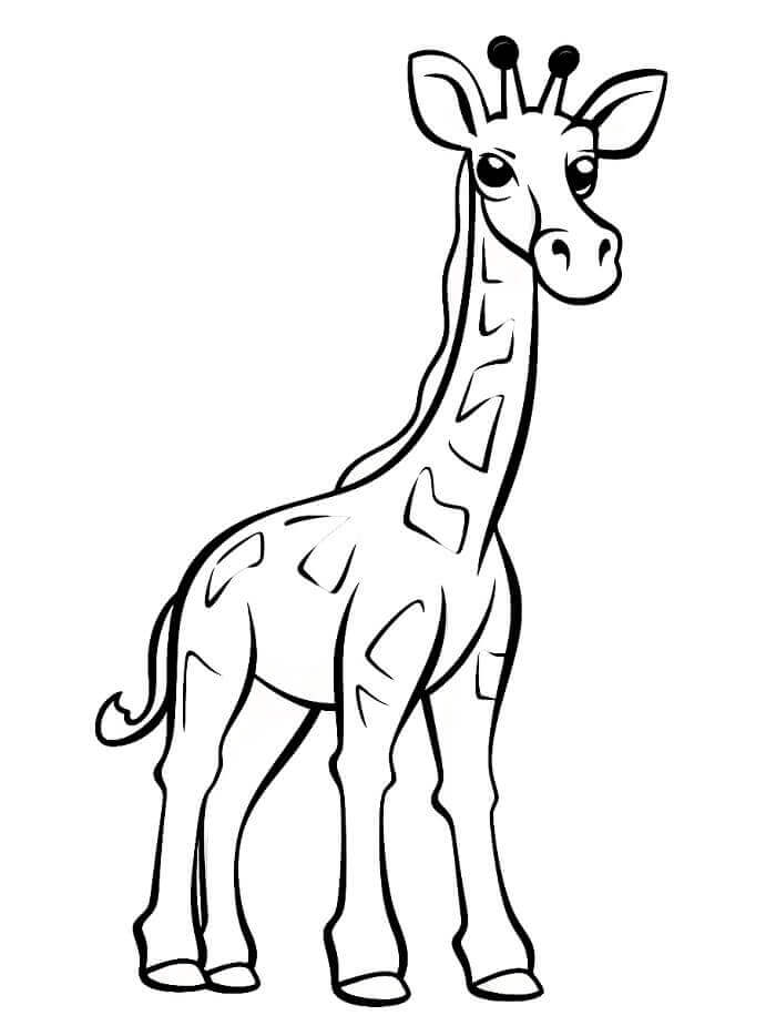 Fise de colorat cu Girafă de colorat p04