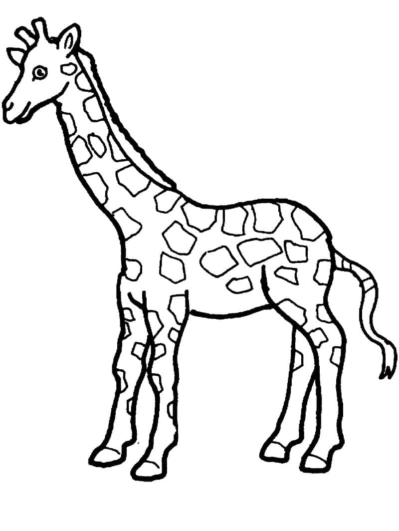 Girafă imprimabilă