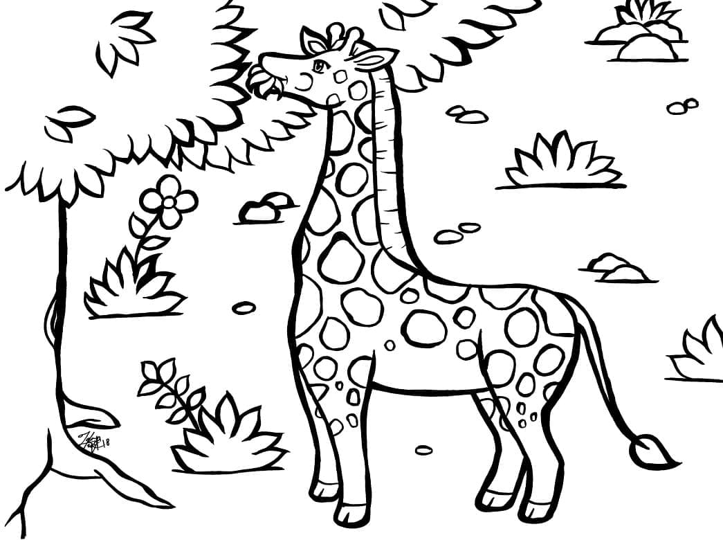 Girafa mănâncă frunze de copac