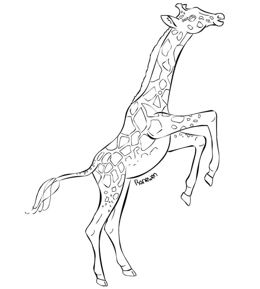 Girafă p5
