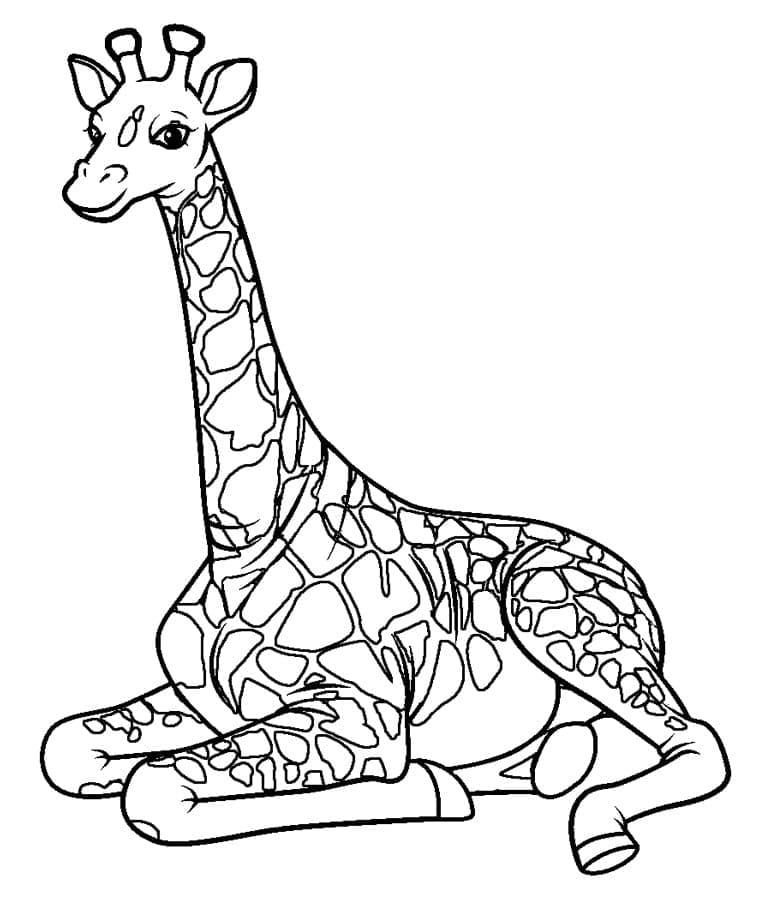 Girafă p6