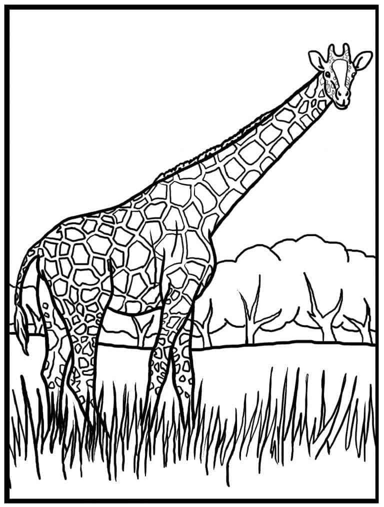 Girafă pentru copii