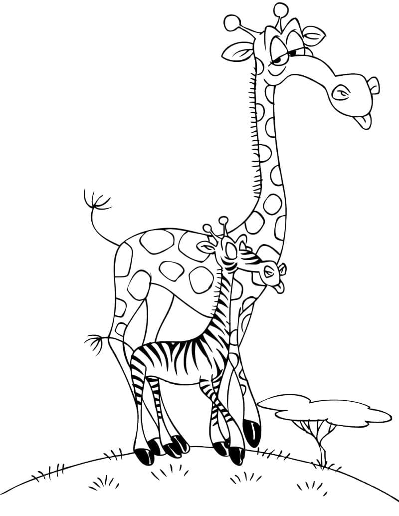 Girafă și zebră