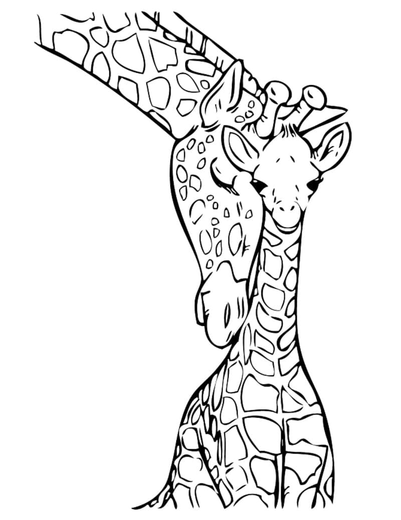 Girafe pentru copii