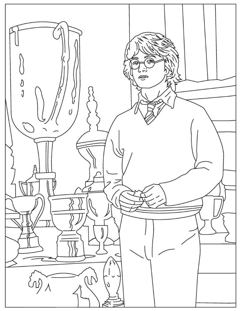 Harry potter p15
