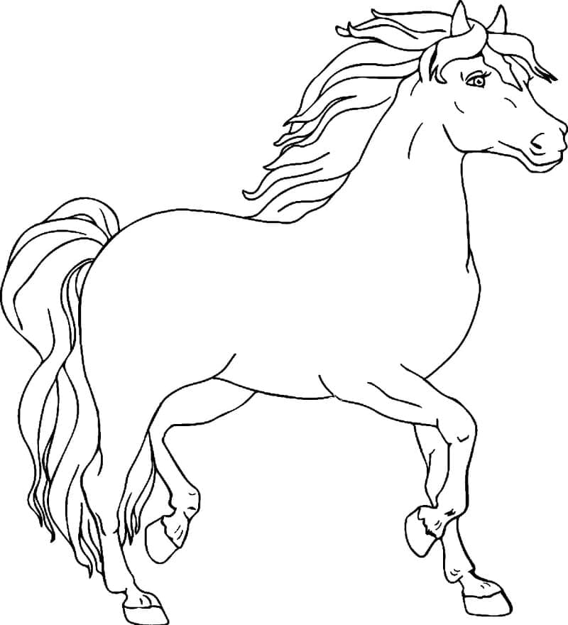 Imaginea calului