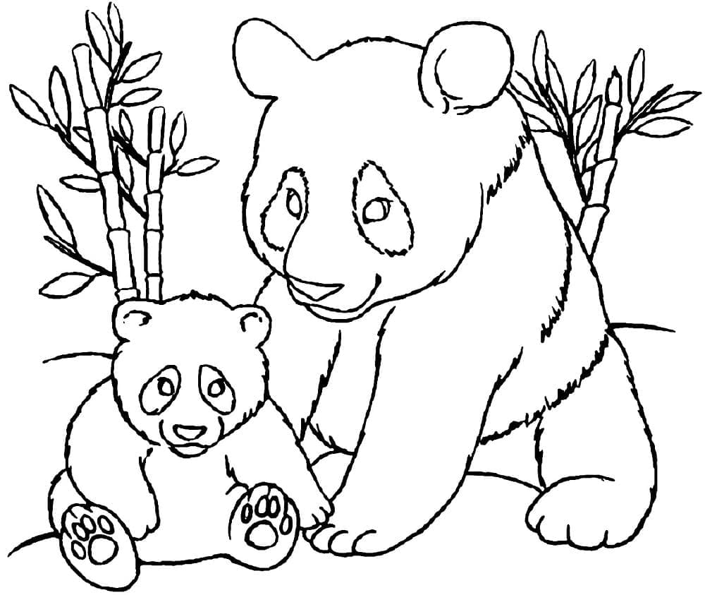 Mamă cu pui de panda
