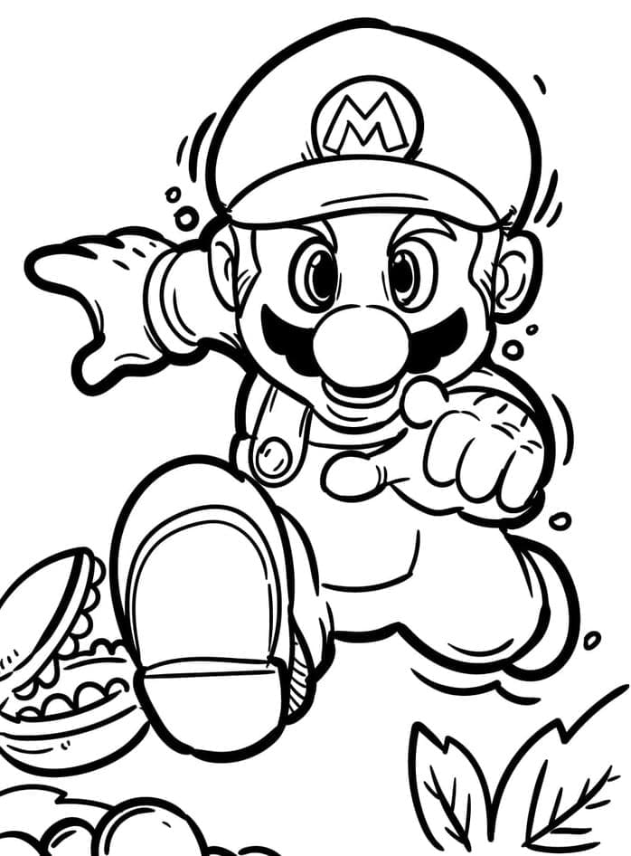 Mario fuge