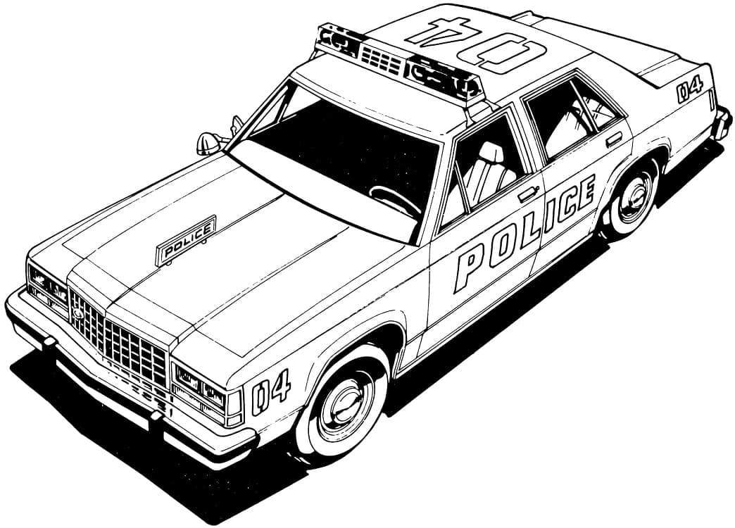 Mașină de poliție p19