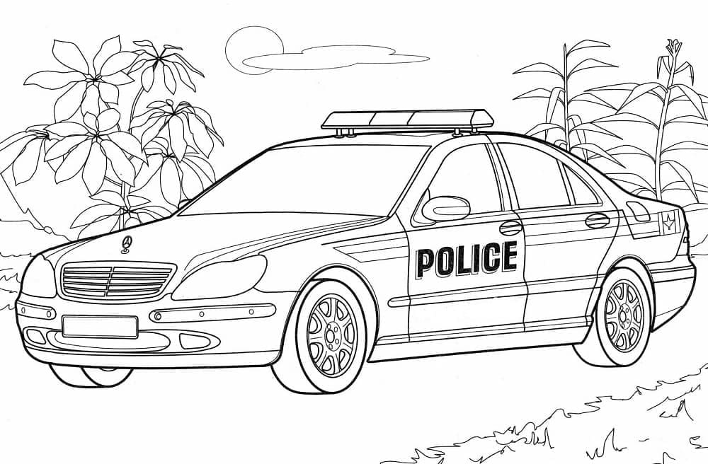 Mașină de poliție p5