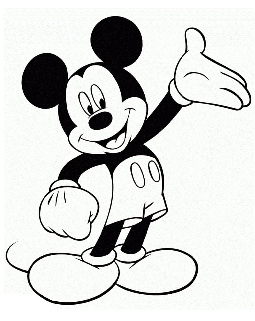 Mickey mouse vesel