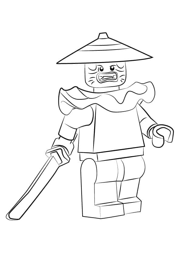 Ninjago swordsman