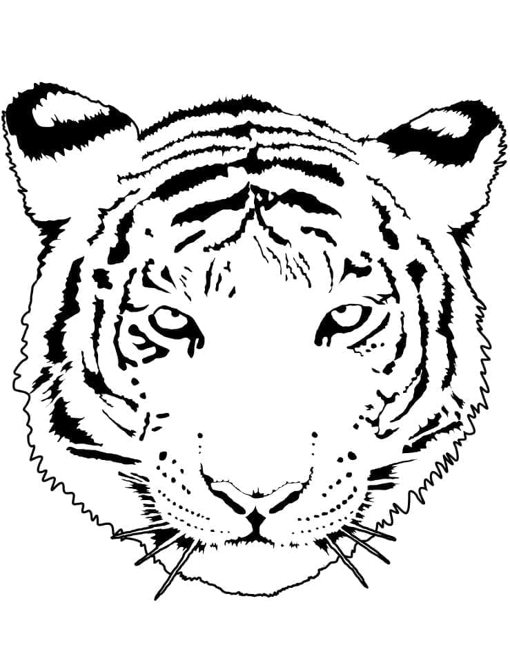 O față de tigru