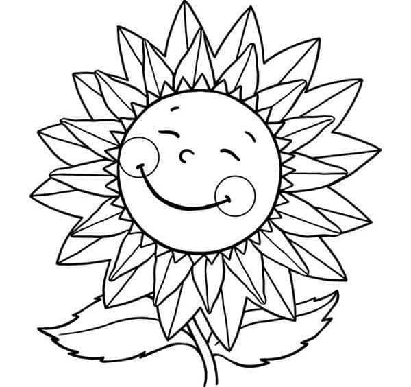 O floarea soarelui foarte draguta