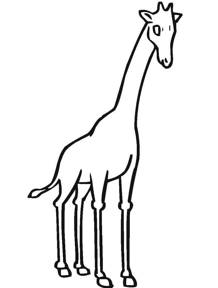 O girafă simplă