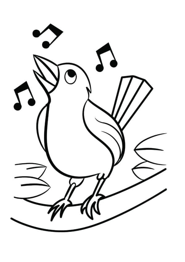 O pasăre drăguță cântă
