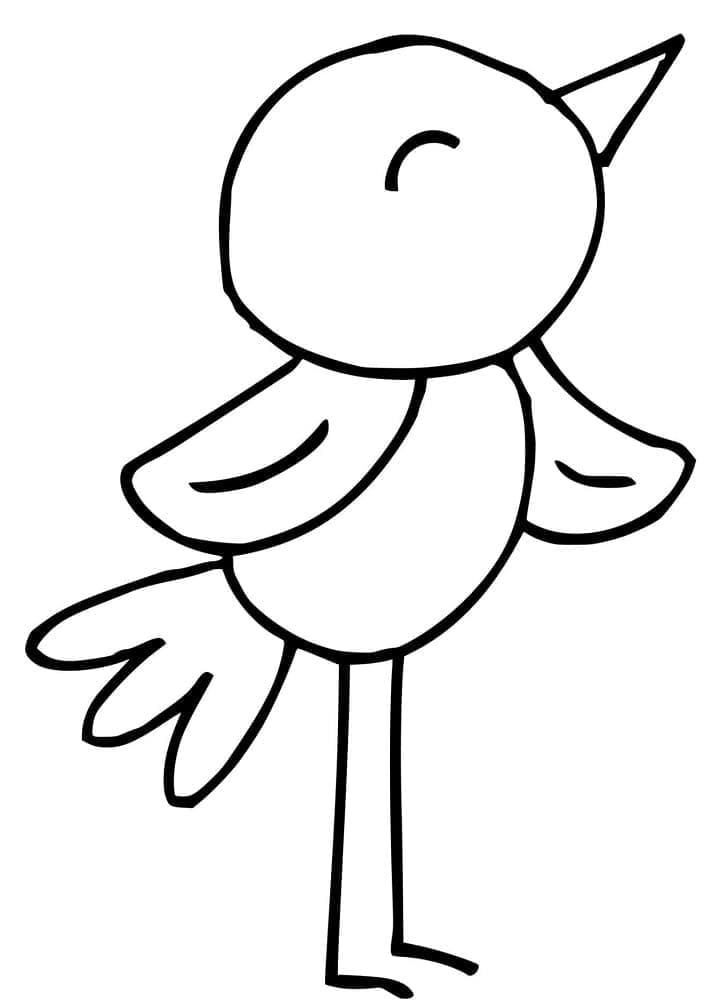 O pasăre foarte simplă