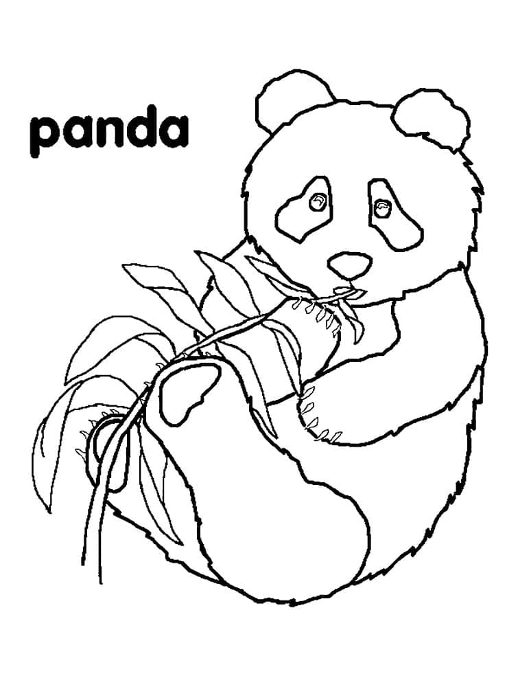 Panda vesel